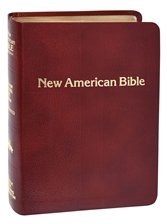 SAINT JOSEPH EDITION OF THE NEW AMERICAN BIBLE REVISED EDITION (Personal Size Gift Edition - Burgundy)