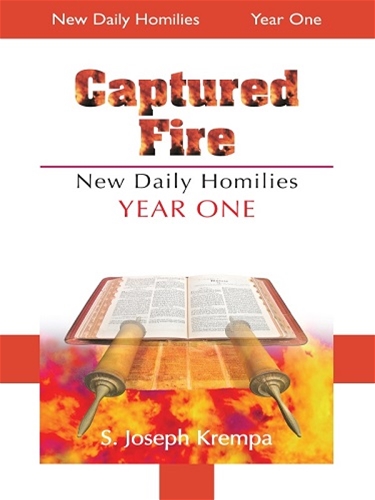 CAPTURED FIRE: NEW DAILY HOMILIES, YEAR ONE